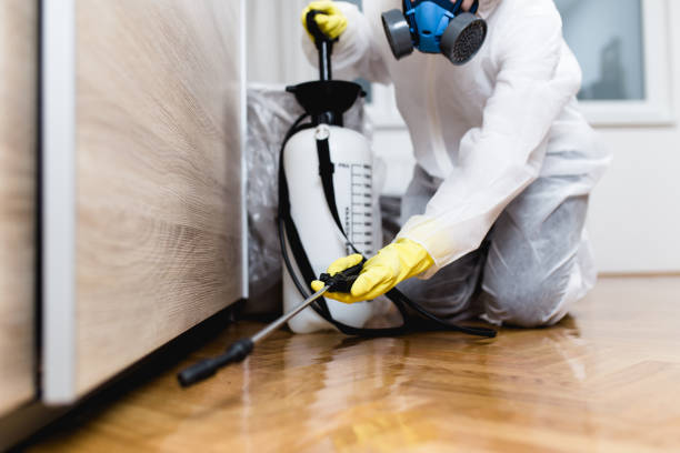 Best Emergency Pest Control  in Greenville, GA