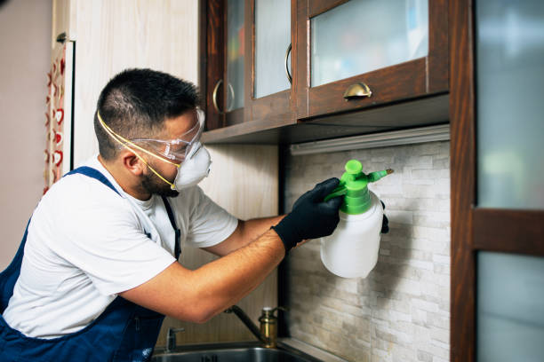 Best Rat Extermination Near Me  in Greenville, GA