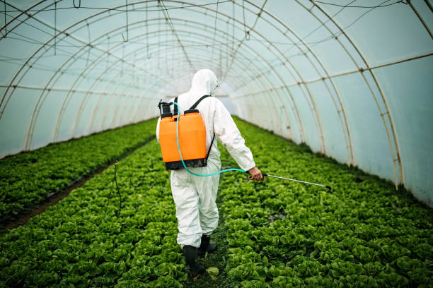 Professional Pest Control in Greenville, GA