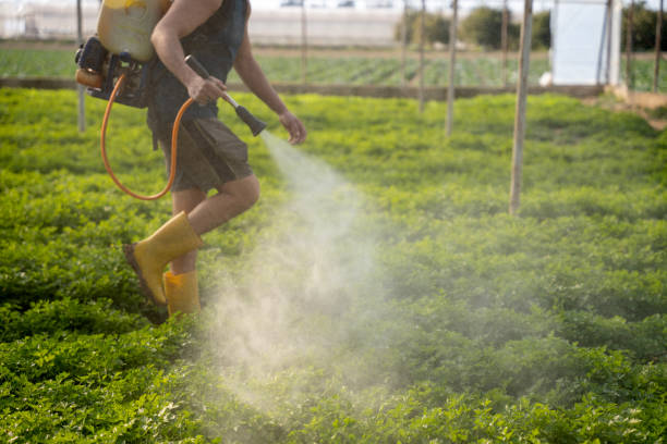 Best Commercial Pest Control Services  in Greenville, GA