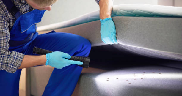 Best Bed Bug Extermination  in Greenville, GA