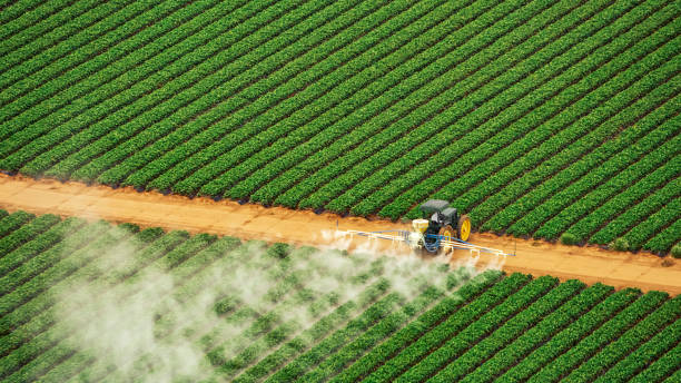 Best Pest Removal Services  in Greenville, GA